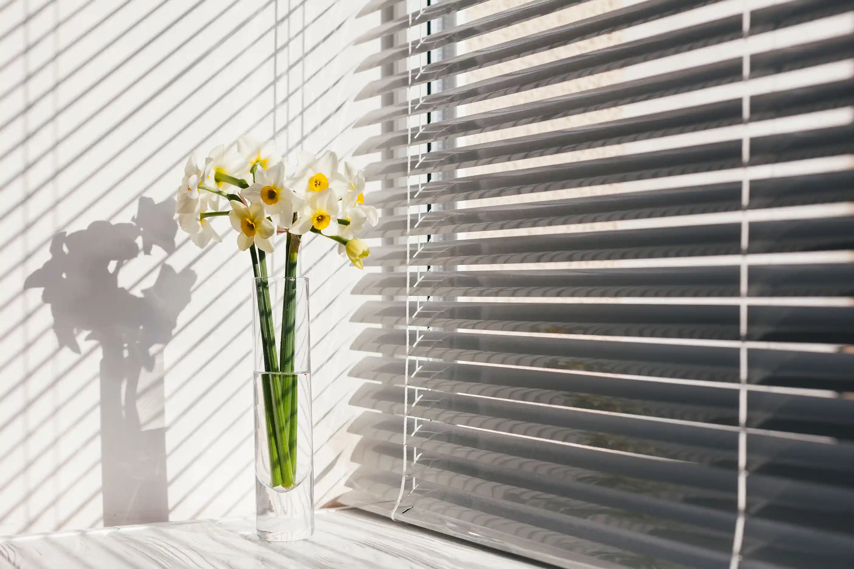 Persianas e Cortinados da Ndawas Interiors
